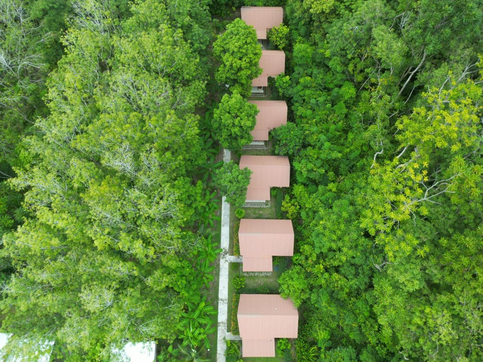 Zabit Bungalow Ko Lanta Extérieur photo
